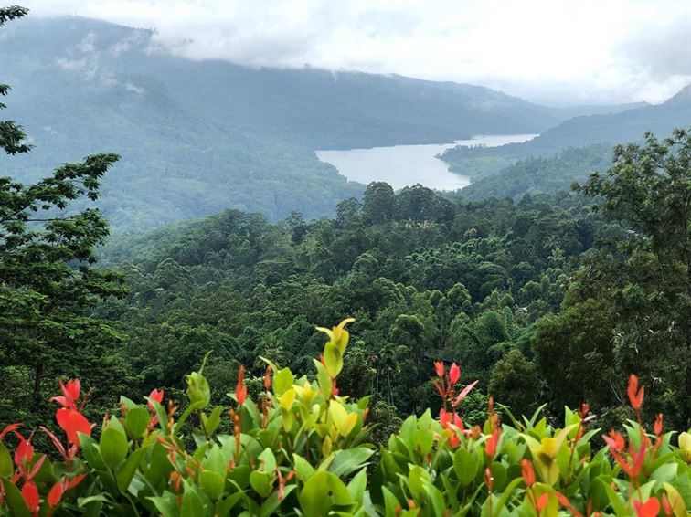Cathedral Cove Kayaking
