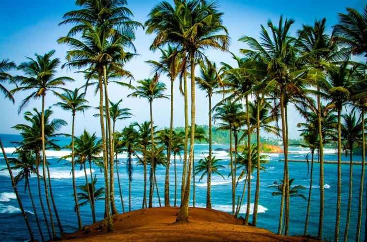 Cathedral Cove Kayaking