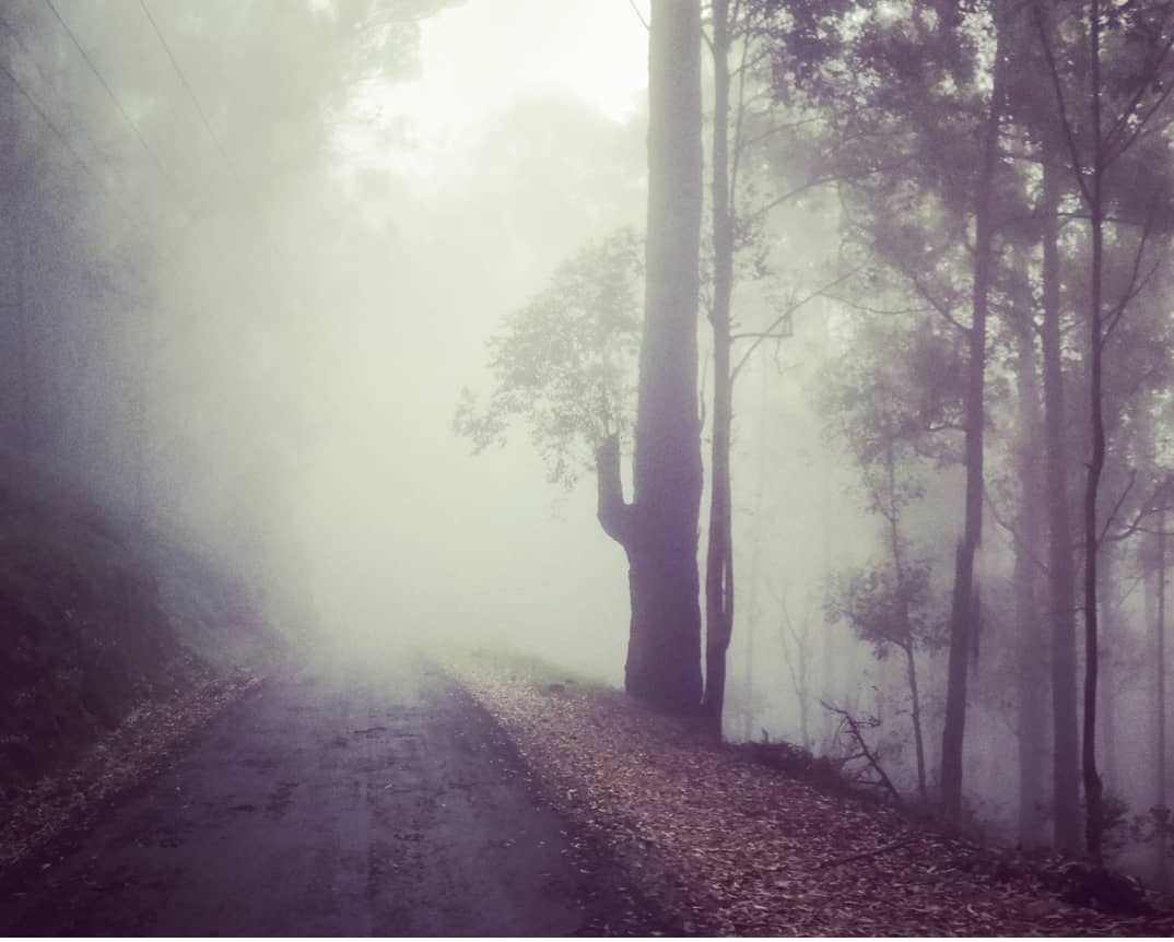 Cathedral Cove Kayaking